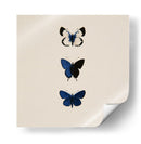3 Mariposas Azules - DIEGO D L | Cuadro decorativo de Canvas Lab