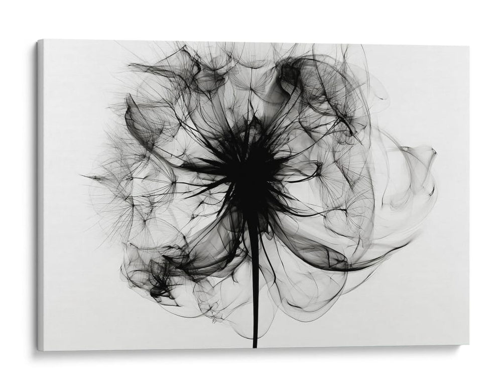 Rayos X en flores I - DIEGO D L | Cuadro decorativo de Canvas Lab