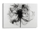 Rayos X en flores I - DIEGO D L | Cuadro decorativo de Canvas Lab