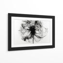 Rayos X en flores I - DIEGO D L | Cuadro decorativo de Canvas Lab