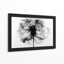 Rayos X en flores I - DIEGO D L | Cuadro decorativo de Canvas Lab