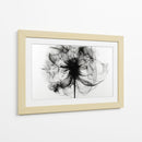 Rayos X en flores I - DIEGO D L | Cuadro decorativo de Canvas Lab