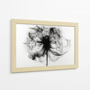 Rayos X en flores I - DIEGO D L | Cuadro decorativo de Canvas Lab