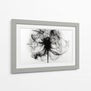 Rayos X en flores I - DIEGO D L | Cuadro decorativo de Canvas Lab