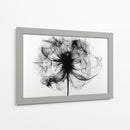 Rayos X en flores I - DIEGO D L | Cuadro decorativo de Canvas Lab