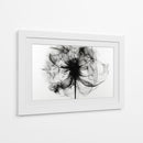Rayos X en flores I - DIEGO D L | Cuadro decorativo de Canvas Lab