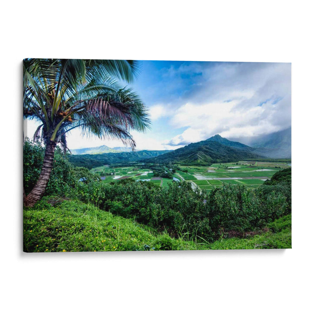 Hanalei Valley - Danny Head | Cuadro decorativo de Canvas Lab