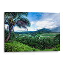 Hanalei Valley - Danny Head | Cuadro decorativo de Canvas Lab