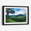 Hanalei Valley - Danny Head | Cuadro decorativo de Canvas Lab