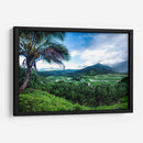 Hanalei Valley - Danny Head | Cuadro decorativo de Canvas Lab