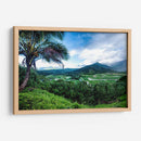 Hanalei Valley - Danny Head | Cuadro decorativo de Canvas Lab