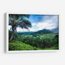Hanalei Valley - Danny Head | Cuadro decorativo de Canvas Lab