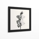 Polen en gladiolas - DIEGO D L | Cuadro decorativo de Canvas Lab