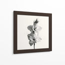 Polen en gladiolas - DIEGO D L | Cuadro decorativo de Canvas Lab