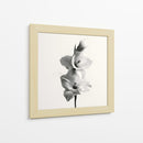 Polen en gladiolas - DIEGO D L | Cuadro decorativo de Canvas Lab