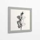 Polen en gladiolas - DIEGO D L | Cuadro decorativo de Canvas Lab