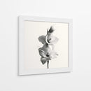 Polen en gladiolas - DIEGO D L | Cuadro decorativo de Canvas Lab