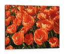 I Flores Naranjas - DIEGO D L | Cuadro decorativo de Canvas Lab