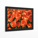 I Flores Naranjas - DIEGO D L | Cuadro decorativo de Canvas Lab