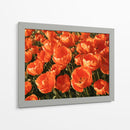 I Flores Naranjas - DIEGO D L | Cuadro decorativo de Canvas Lab