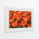 I Flores Naranjas - DIEGO D L | Cuadro decorativo de Canvas Lab