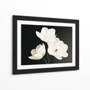 Flores blancas fondo negro - DIEGO D L | Cuadro decorativo de Canvas Lab