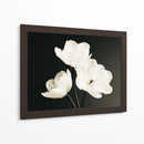 Flores blancas fondo negro - DIEGO D L | Cuadro decorativo de Canvas Lab