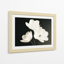 Flores blancas fondo negro - DIEGO D L | Cuadro decorativo de Canvas Lab