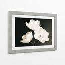 Flores blancas fondo negro - DIEGO D L | Cuadro decorativo de Canvas Lab
