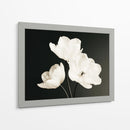 Flores blancas fondo negro - DIEGO D L | Cuadro decorativo de Canvas Lab