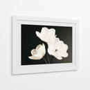 Flores blancas fondo negro - DIEGO D L | Cuadro decorativo de Canvas Lab