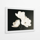 Flores blancas fondo negro - DIEGO D L | Cuadro decorativo de Canvas Lab