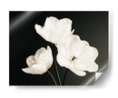 Flores blancas fondo negro - DIEGO D L | Cuadro decorativo de Canvas Lab