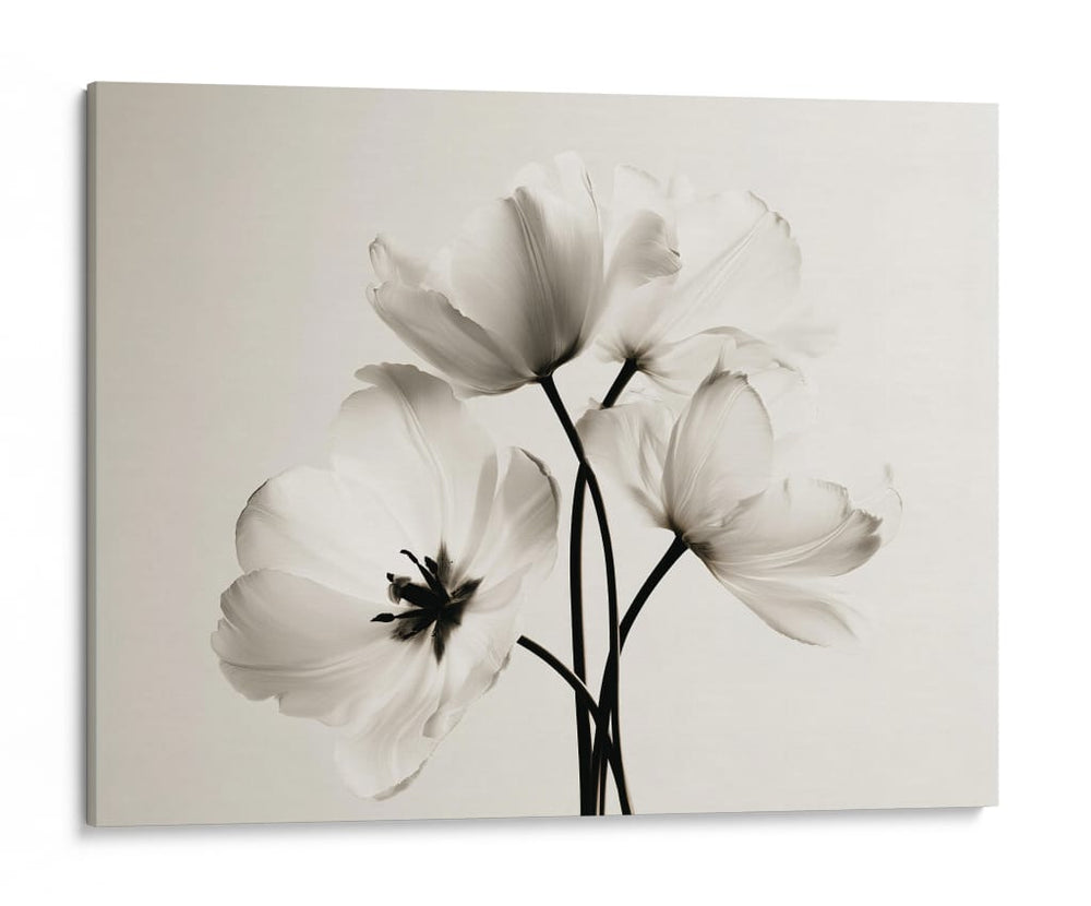 Flores blancas fondo blanco - DIEGO D L | Cuadro decorativo de Canvas Lab