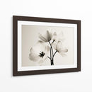 Flores blancas fondo blanco - DIEGO D L | Cuadro decorativo de Canvas Lab