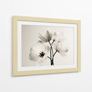 Flores blancas fondo blanco - DIEGO D L | Cuadro decorativo de Canvas Lab