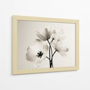 Flores blancas fondo blanco - DIEGO D L | Cuadro decorativo de Canvas Lab