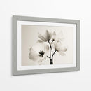 Flores blancas fondo blanco - DIEGO D L | Cuadro decorativo de Canvas Lab
