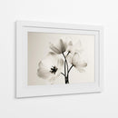 Flores blancas fondo blanco - DIEGO D L | Cuadro decorativo de Canvas Lab