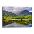 Marsh Iii Costero - Danny Head | Cuadro decorativo de Canvas Lab