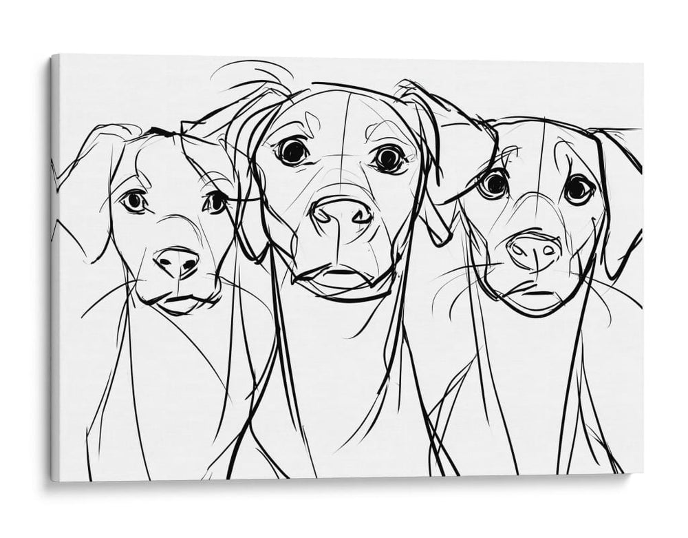 3 Bocetos de perros - DIEGO D L | Cuadro decorativo de Canvas Lab