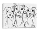 3 Bocetos de perros - DIEGO D L | Cuadro decorativo de Canvas Lab