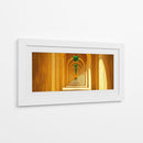 El Camino del Gato - Caperh | Cuadro decorativo de Canvas Lab