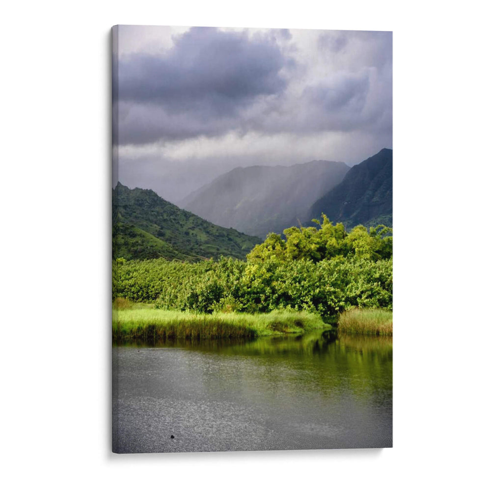 Costa Marsh Triptych Iii - Danny Head | Cuadro decorativo de Canvas Lab