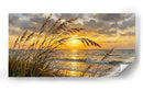 Espigas al Viento - Caperh | Cuadro decorativo de Canvas Lab