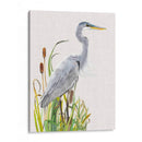 Aves Acuáticas Y Cattexis I - Naomi McCavitt | Cuadro decorativo de Canvas Lab