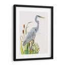 Aves Acuáticas Y Cattexis I - Naomi McCavitt | Cuadro decorativo de Canvas Lab