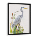 Aves Acuáticas Y Cattexis I - Naomi McCavitt | Cuadro decorativo de Canvas Lab