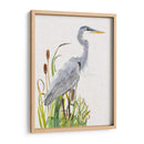 Aves Acuáticas Y Cattexis I - Naomi McCavitt | Cuadro decorativo de Canvas Lab