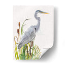 Aves Acuáticas Y Cattexis I - Naomi McCavitt | Cuadro decorativo de Canvas Lab